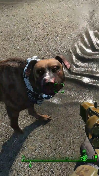 buy a dog fallout 4|fallout 4 dog trader.